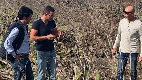 Los concejales del PSOE visitaron la deteriorada zona de tuneras de Guatiza.