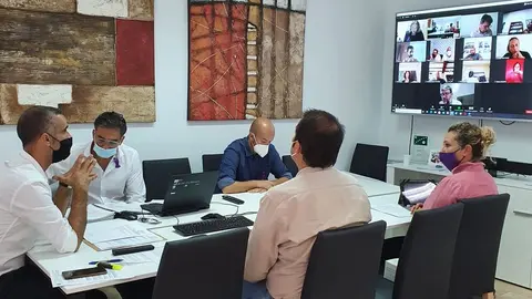 PLENO 25 11 2020 (1)