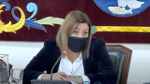 Ástrid Pérez llama niñatos a los Jóvenes Nacionalistas Canarios