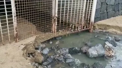 7b27d69d-7164-49ae-9c66-bb5a04ccaf58