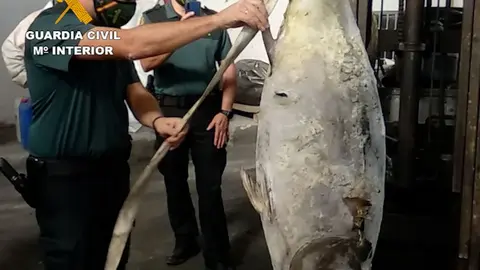 productos_pesqueros_conjelados_las_palmas_editada 4