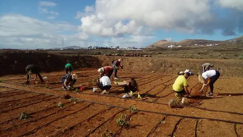 huertos comunitairos