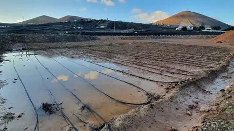 Realidad huerto comunitario Tías (5)