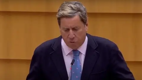 Gabriel Mato durante su intervención en el Parlamento europeo. 