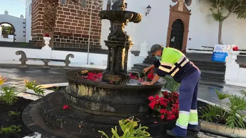 FLORES PASCUA EN LA VILLA