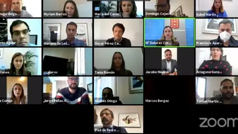 Pleno Cabildo Lanzarote