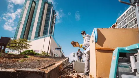 Iniciadas las obras para reparar el Parque Islas Canarias. Operarios de la constructora actúan en los muros de las zonas ajardinadas