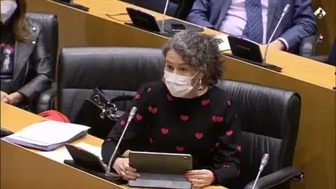 La diputada canaria Ariagona González