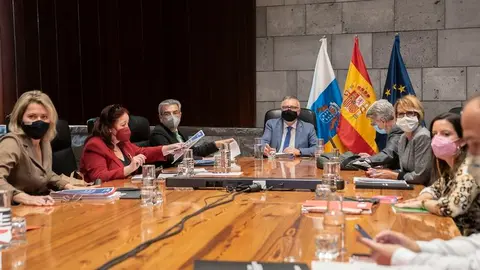 consejo gobierno 28 enero