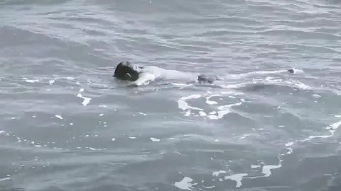 FOTO NP ENERO-FEBRERO 2021