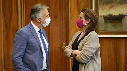 teresa ribera torres