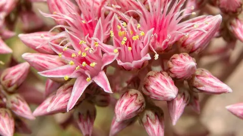 430a4947-e2a5-4146-9082-d732cb6d7027