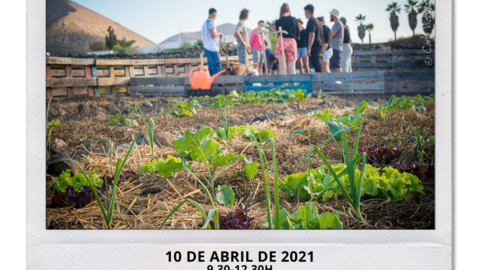 Cartel Voluntariado Perma Terra Logo MaB