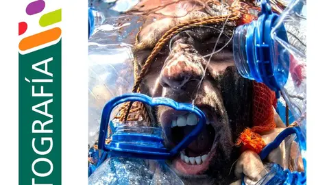 19 abril Exposición Gritos del Azul