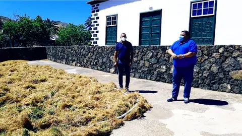 e307e22e-7fea-4ce5-9bdb-cb6d204b4af8