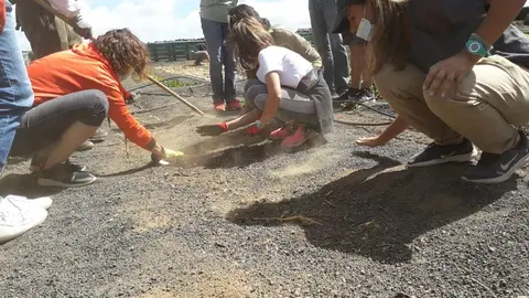 0dc189ac-3b6b-42a6-b532-25741d02a19d