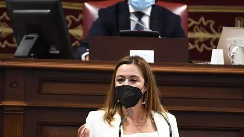 María Dolores Corujo durante su intervención este miércoles en el Parlamento autonómico.