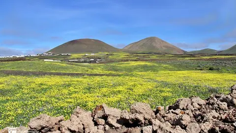 Vista de Conil, al fondo