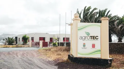 ENTRADA CENTRO AGROTEC (COMPLEJO) TEGUISE
