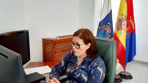 Reunión por vídeo confererencia con  las organizaciones empresariales de Lanzarote para trabajar en los nuevos proyectos ante la UE con el Plan de Recuperación