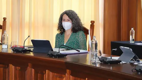 Pleno ordinario Cabildo-ABRIL (341) (Copy)