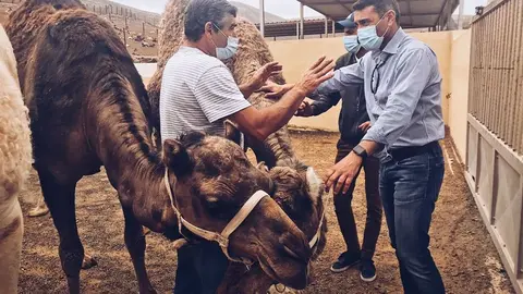 VISTA OB A CAMELLEROS UGA 1