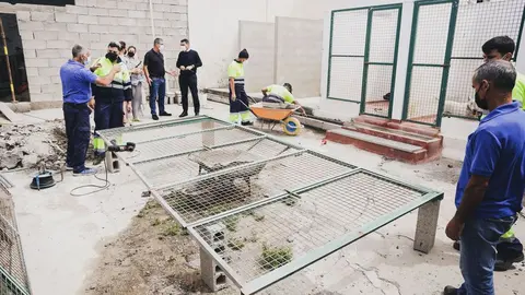 CENTRO ACOGIDA ANIMALES TEGUISE 2