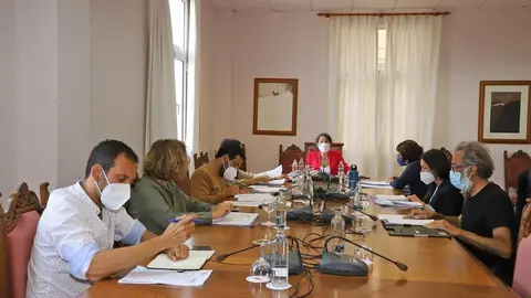 Comisión Insular de Patrimonio Cultural (1)