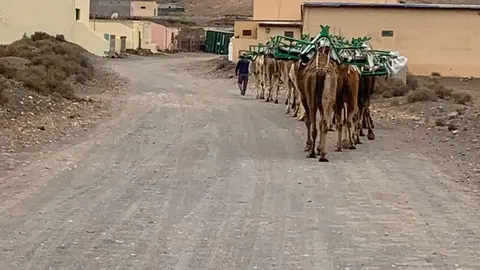 0c3b317d-43f4-4a45-869d-02a0003229ef