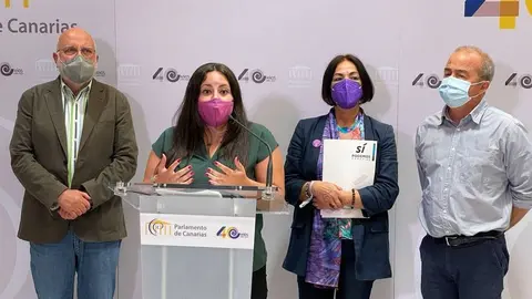 podemos parlamento