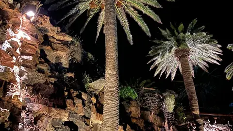 WhatsApp Image 2021-06-21 at 16.01.23