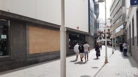 arbolado urbano lanzarote en pie