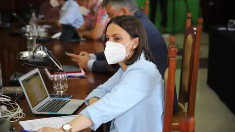 Pleno extraordinario 16 julio 2021 (10)