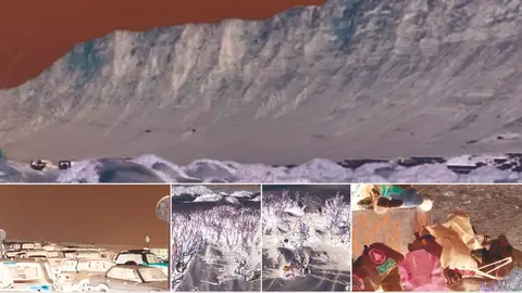 FOTO FAMARA PARA ECOLOGISTAS EN ACCIO LANZAROTE