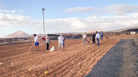 CEBOLLINOS TEGUISE 1