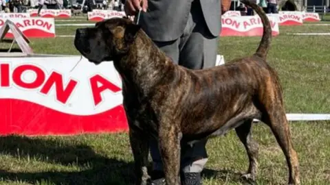 Imagen de uno de los dos impresionantes presas de Lanzarote que participó en Madrid.