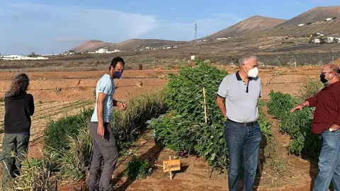 huertos comunitarios