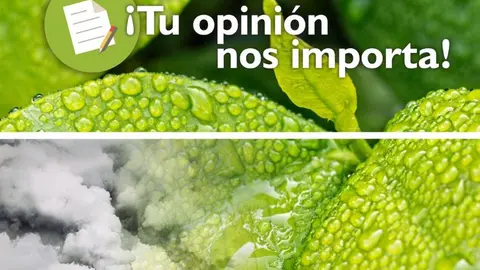 thumbnail_Cartel encuesta emisiones 40 menos CO2 WEB