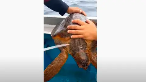 Luis Ibarra, presidente de la Autoridad Portuaria de Las Palmas