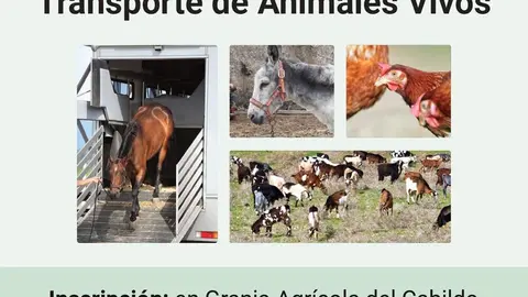 Cartel Curso Transporte Animales Vivos_pages-to-jpg-0001 web