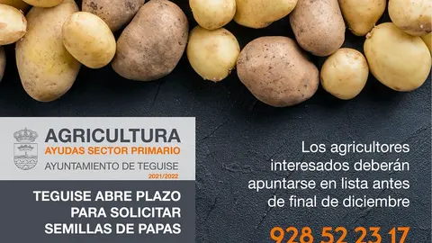 SEMILLAS DE PAPAS TEGUISE