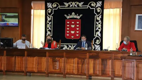 Pleno Cabildo 5 noviembre
