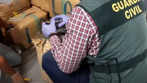 GUARDIA CIVIL, HACHÍS, GRAN CANARIA