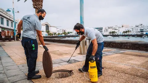 Trabajos de fumigación en el Charco de San Ginés