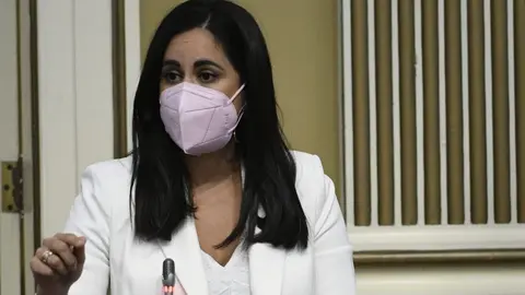 Vidina Espino en el Parlamento autonómico.