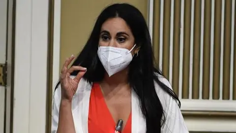 Vidina Espino, portavoz del Grupo Mixto en el Parlamento de Canarias.