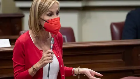 Australia Navarro, portavoz del Grupo Popular en el Parlamento de Canarias.