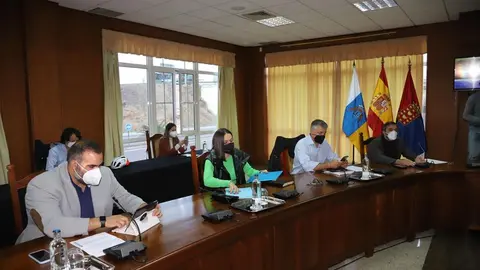 pleno 23 diciembre (4)