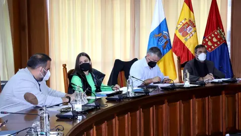 pleno 23 diciembre (13)