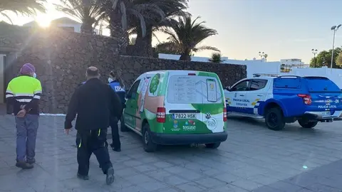 La Policía Local inició este lunes la investigación en varias zonas del municipio.